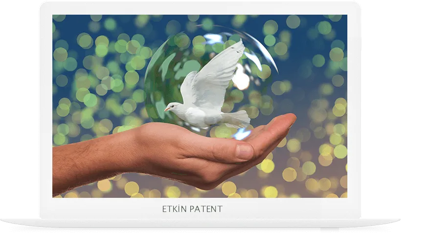 faydalı model on koruma yöntemleri-uşak patent