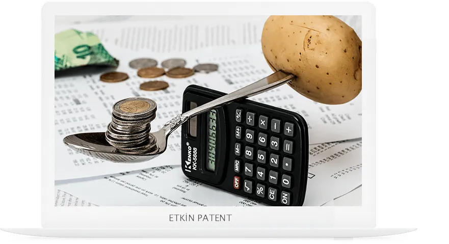 finansal davranışlara dair kombinasyon modeller-uşak patent